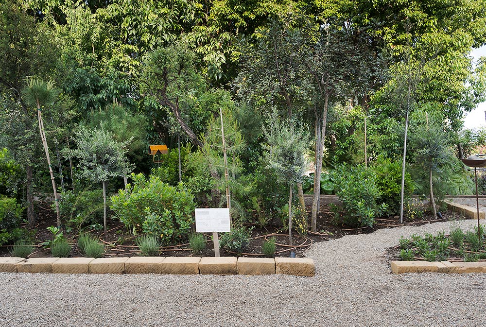 1-Radicepura-garden-festival-V-quinta-edizione